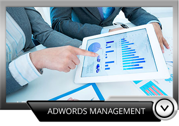 google adwords management perth